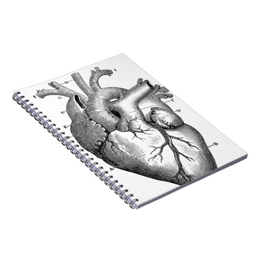 Vintage Herzanatomie | Anpassbar Notizblock (Rechte Seite)