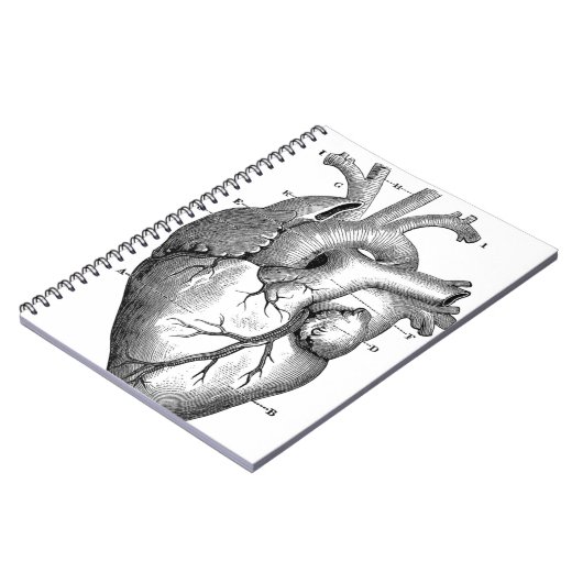 Vintage Herzanatomie | Anpassbar Notizblock (Linke Seite)