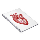 Vintage Herzanatomie Notizblock (Rechte Seite)