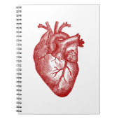 Vintage Herzanatomie Notizblock (Vorderseite)