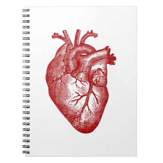 Vintage Herzanatomie Notizblock (Vorderseite)