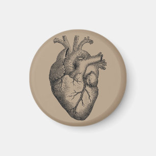 Vintage-Herzillustration Magnet