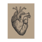 Vintage-Herzillustration