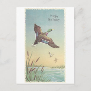 Vintage Herzlichen Geburtstag Mallard Postkarte