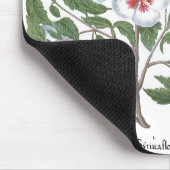 Vintage Hibiscus Flowers by Basilius Besler Mousepad (Ecke)