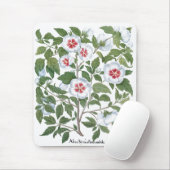 Vintage Hibiscus Flowers by Basilius Besler Mousepad (Mit Mouse)