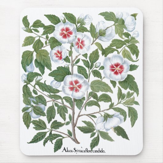 Vintage Hibiscus Flowers by Basilius Besler Mousepad (Vorne)
