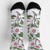 Vintage Hibiscus Flowers by Basilius Besler Socken (Oben)
