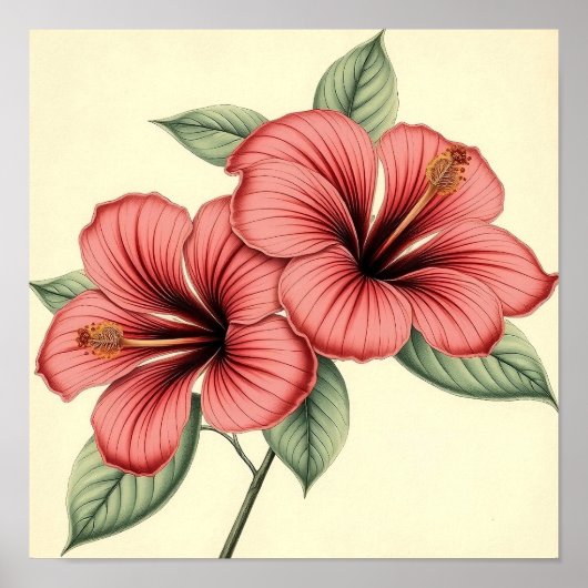 Vintage Hibiscus on Weathered Paper Poster (Vorne)