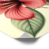 Vintage Hibiscus on Weathered Paper Poster (Ecke)
