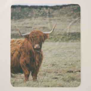 VINTAGE HIGHLAND-RIND-FOTO SHERPADECKE