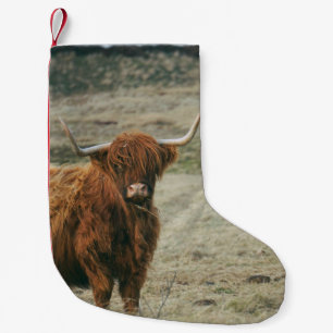 VINTAGE HIGHLAND RIND KUH FOTO KLEINER WEIHNACHTSSTRUMPF