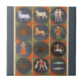 Vintage Himmelskarte, astrologische Zodiakarte, 14 Fliese (Vorderseite)