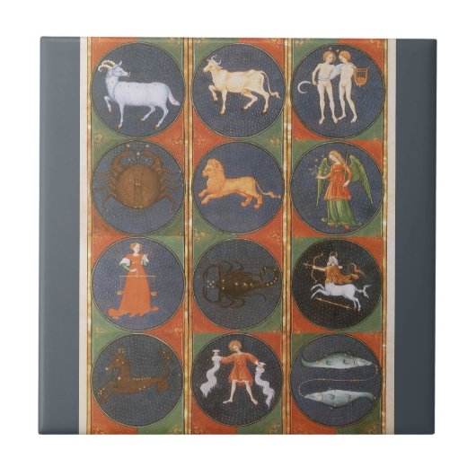 Vintage Himmelskarte, astrologische Zodiakarte, 14 Fliese (Vorderseite)