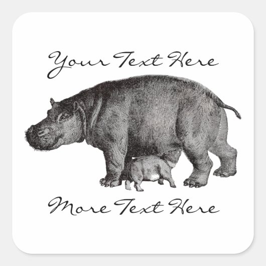 Vintage Hippo-Sticker Quadratischer Aufkleber (Vorderseite)