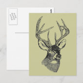 Vintage Hirschkunst Postkarte (Vorne/Hinten)