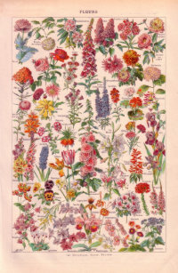 Blumen Postkarten Zazzle De