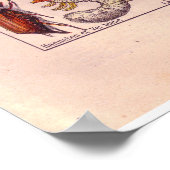 Vintage historische Insekten von 1920 Poster (Ecke)