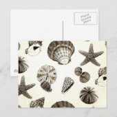 Vintage Hochzeit der tropischen Seehöhe Postkarte (Vorne/Hinten)