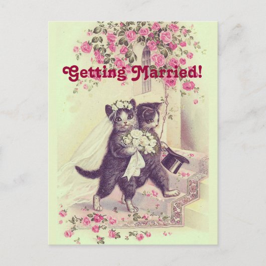 Vintage Hochzeit Katzen Save the Date Postkarte (Vorderseite)