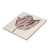 Vintage Holländische Kunst: Weiß und Rot Tulip Fliese (Seite)