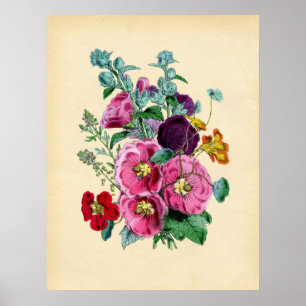 Vintage Hollyhocks Poster