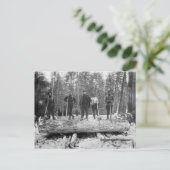 Vintage Holzfäller Postkarte (Stehend Vorderseite)