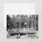 Vintage Holzfäller Postkarte (Vorne/Hinten)