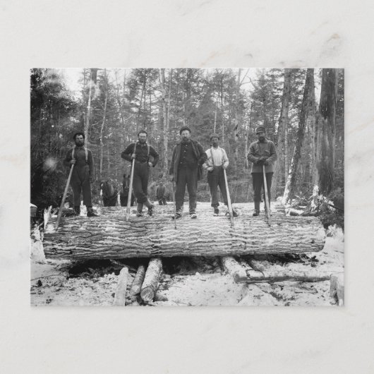 Vintage Holzfäller Postkarte (Vorderseite)