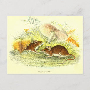 Vintage Holzmäuse-Illustration Postkarte