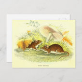 Vintage Holzmäuse-Illustration Postkarte (Vorne/Hinten)