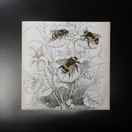 Vintage HoneyBee-Illustration | Fliese