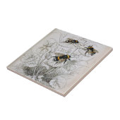 Vintage HoneyBee-Illustration | Fliese (Seite)