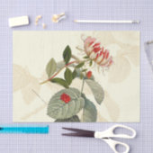 Vintage Honeysuckle Seidenpapier (Handwerk)