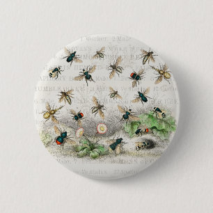 Vintage-Honigbiene- Königin-Biene-Entomologie-Bota Button