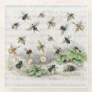 Vintage-Honigbiene- Königin-Biene-Entomologie-Bota Glasuntersetzer