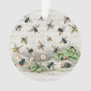 Vintage-Honigbiene- Königin-Biene-Entomologie-Bota Ornament