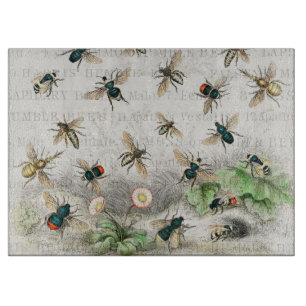 Vintage-Honigbiene- Königin-Biene-Entomologie-Bota Schneidebrett