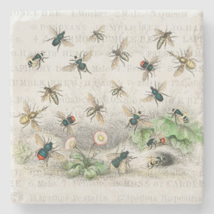 Vintage-Honigbiene- Königin-Biene-Entomologie-Bota Steinuntersetzer