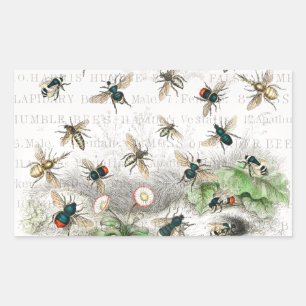 Vintage Honigbiene Königin Biene Entomologie Botan Rechteckiger Aufkleber
