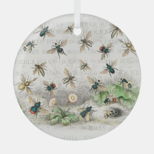 Vintage Honigbiene Königin Bienen Entomologie Bota Ornament Aus Glas