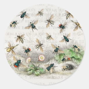 Vintage Honigbiene Königin Bienen Entomologie Bota Runder Aufkleber