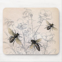 Vintage-Honigbiene-Kunstprint