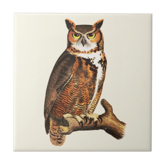 Vintage Hornkeule zeichnend Fliese (Vorderseite)