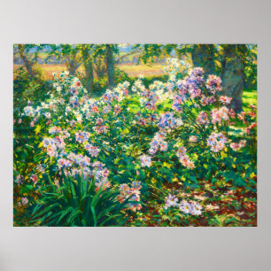 Vintage hübsche Blume Windblumenillustrierung Poster