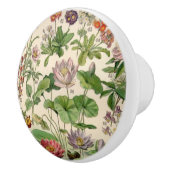 Vintage Hübsche botanische Blume Keramikknauf (Rechts)