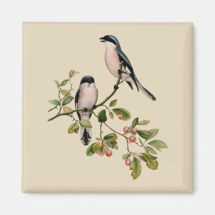 Vintage Hübsche Vögel auf Beige Magnet