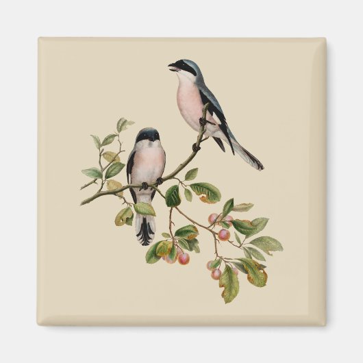 Vintage Hübsche Vögel auf Beige Magnet (Vorne)