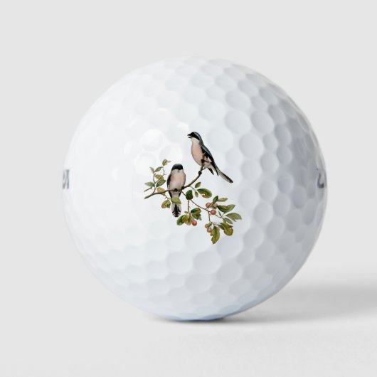 Vintage Hübsche Vögel auf einer Zweigniederlassung Golfball (Vorderseite)
