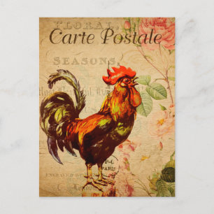Vintage-Huhn-Henne-Hahn-Illustration Französisch Postkarte